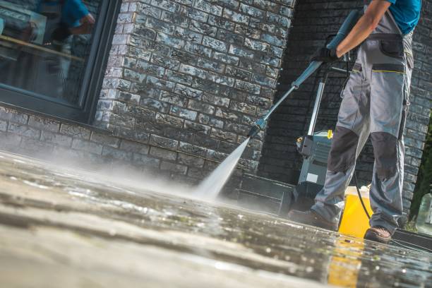 Animal Enclosure Cleaning in West Ishpeming, MI